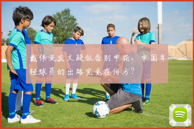 戴伟浚发文疑似告别申花，中国年轻球员的出路究竟在何方？