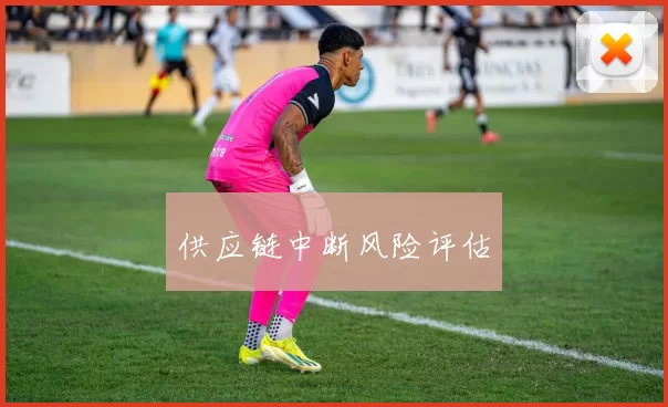 供应链中断风险评估