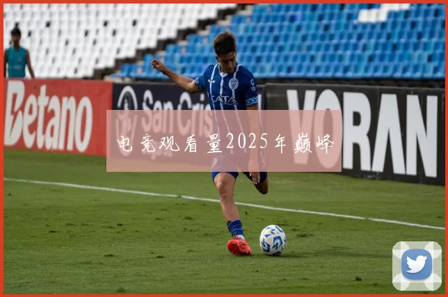 电竞观看量2025年巅峰