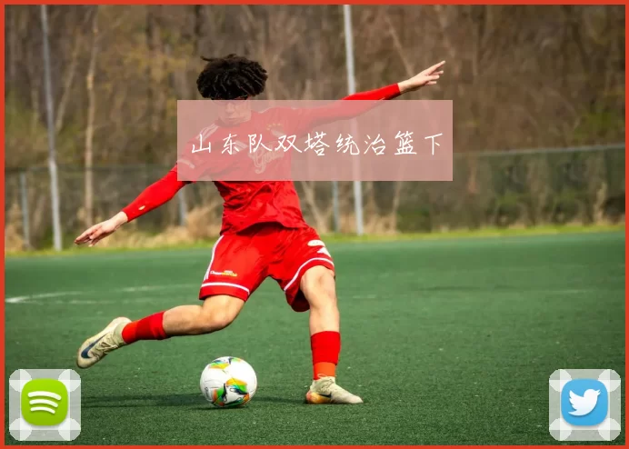 山东队双塔统治篮下