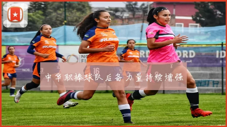 中华职棒球队后备力量持续增强