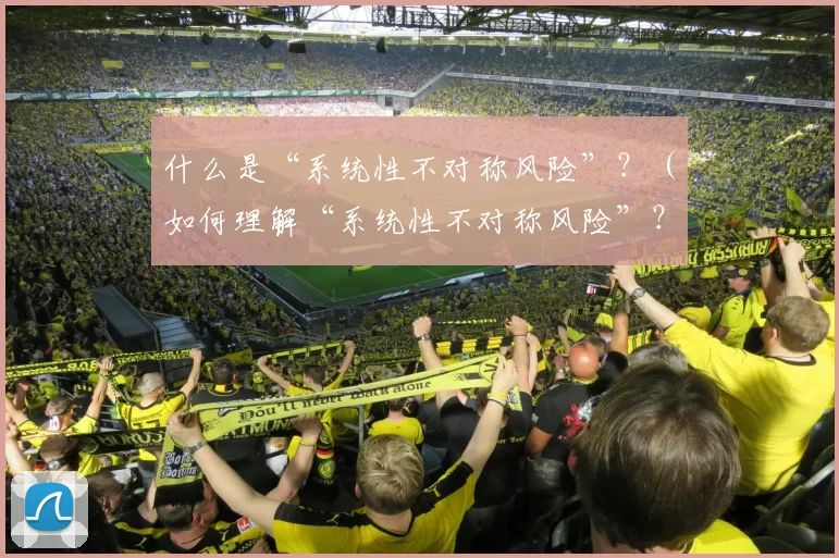 什么是“系统性不对称风险”？（如何理解“系统性不对称风险”？）