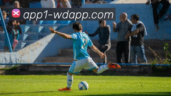 问鼎appAPP 封面图